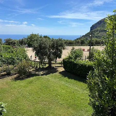 Piccolo Paradiso Piano di Sorrento