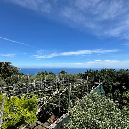 Piccolo Paradiso *