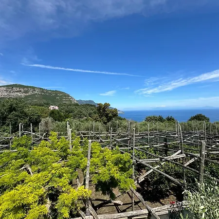 Piccolo Paradiso * Piano di Sorrento