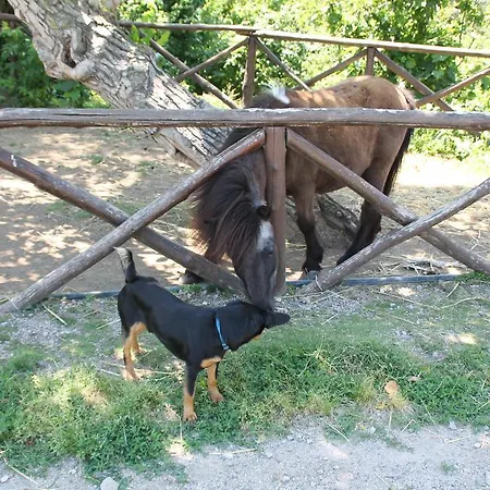 Country house Piccolo Paradiso *
