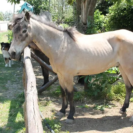 Casa di campagna Piccolo Paradiso