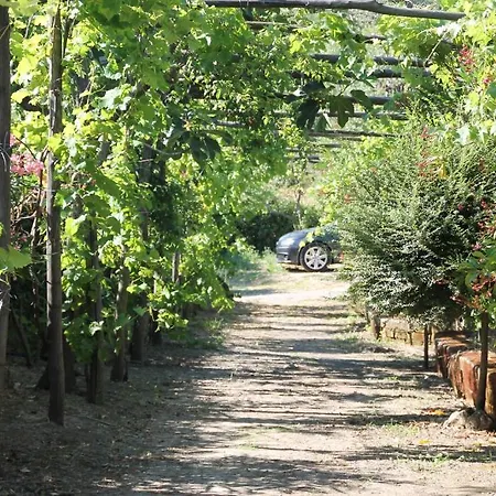 Piccolo Paradiso Piano di Sorrento