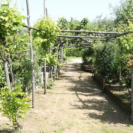 Country house Piccolo Paradiso Piano di Sorrento